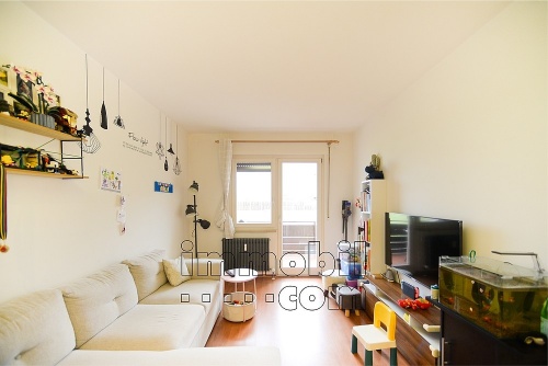 3 Zimmerwohnung